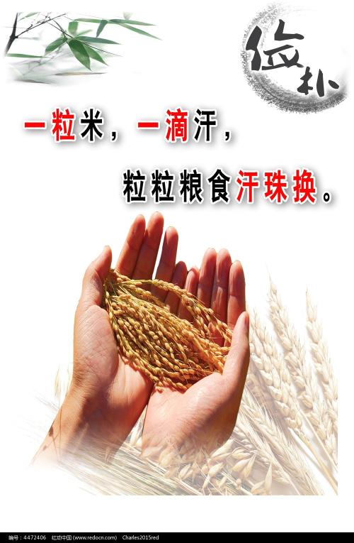 蒂尔堡大学 Media diploma